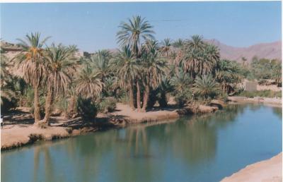 assif oufla