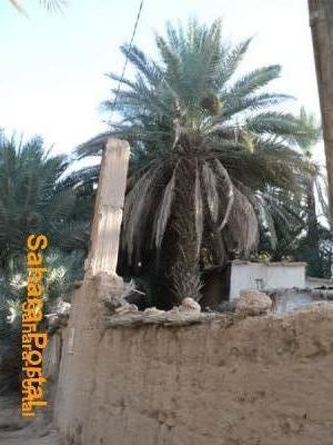 taghjijt