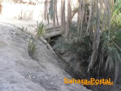 taghjijt