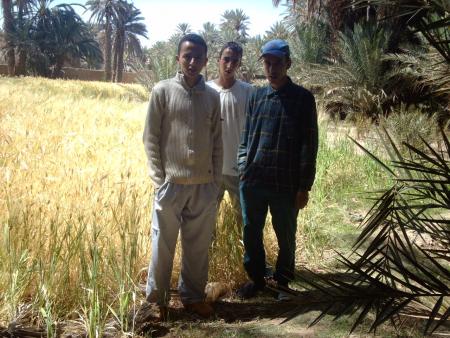 said fayssal ayoub ghtslbin