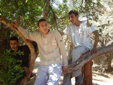 said fayssal ayoub