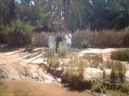 said fayssal ayoub ghwassif nsiyad