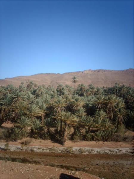 adyawi rbbi anzar ayngi saras yawid ajig