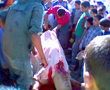 taramt (almogar ogadir m9ourn)