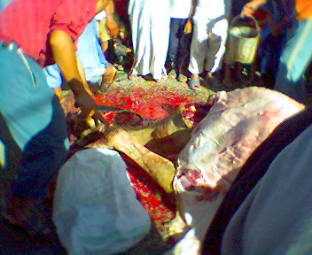 taramt (almogar ogadir m9ourn)