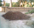 amazir
