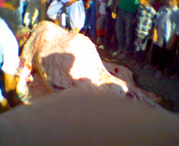 taramt (almogar ogadir m9ourn)