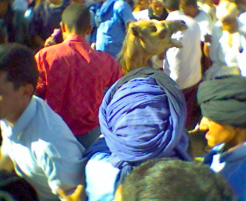 taramt (almogar ogadir m9ourn)