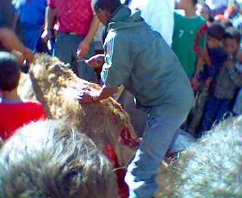 taramt (almogar ogadir m9ourn)