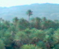 targa