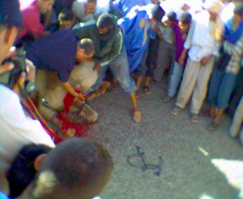 taramt (almogar ogadir m9ourn)