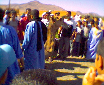 taramt (almogar ogadir m9ourn)