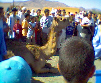 taramt (almogar ogadir m9ourn)