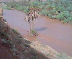 assif nsiyad mlli ghdi ngi