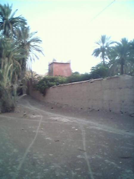 jjarda lqayd