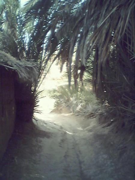 taghjijt
