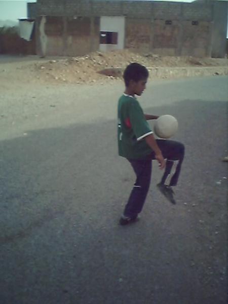 boya rachid