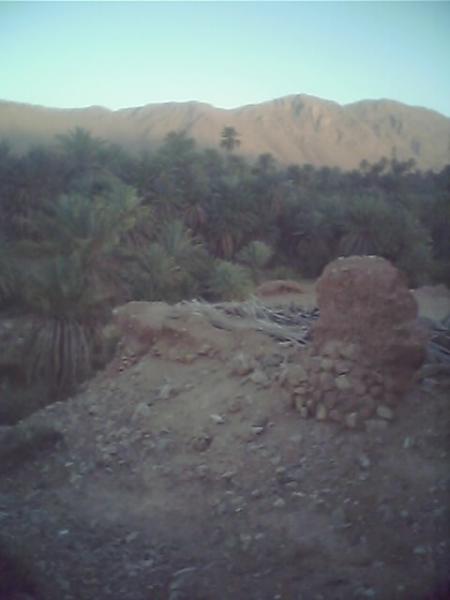 taghjijt