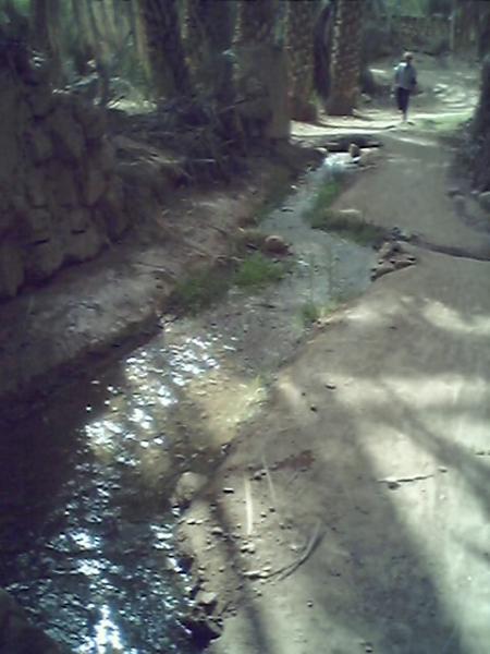 assarou