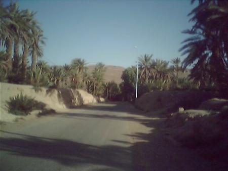 tamazirt awa tamazirt
