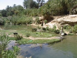 Assif Oufla