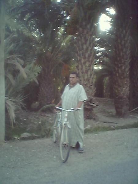 omar el mahjoub
