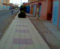dar lotil