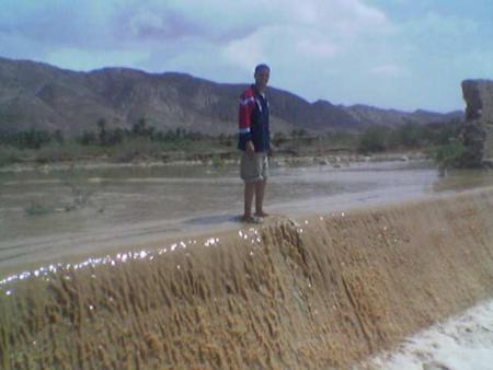 hami mjid