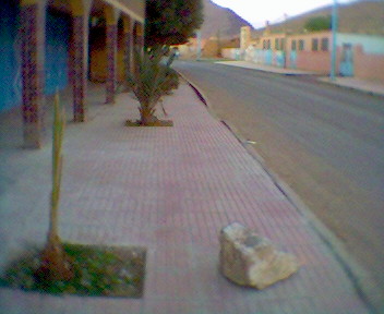 dar lotil