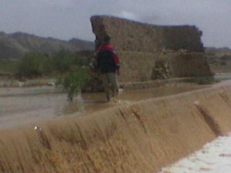 hami mjid