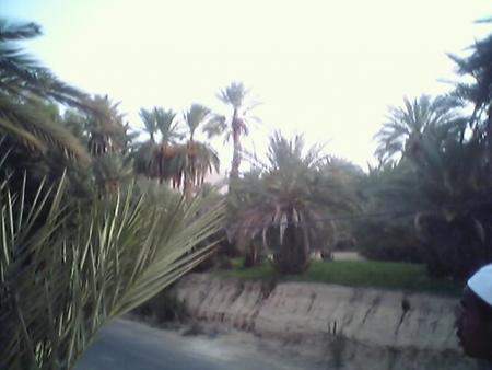 taghjijt