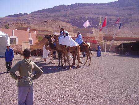 Almoggar 2008