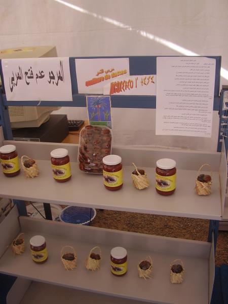 Almoggar 2008