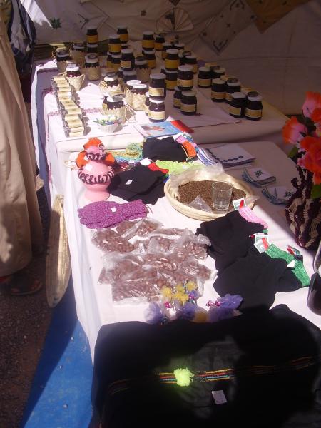Almoggar 2008
