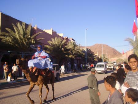 Almoggar 2008
