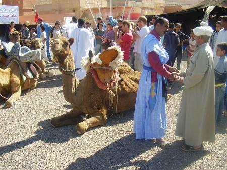 Almoggar 2008