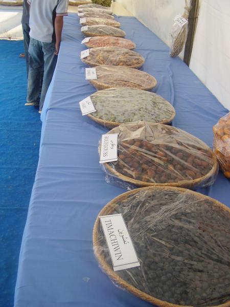 Almoggar 2008