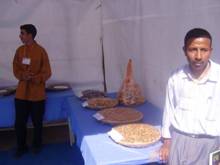 Almoggar 2008