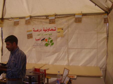 Almoggar 2008