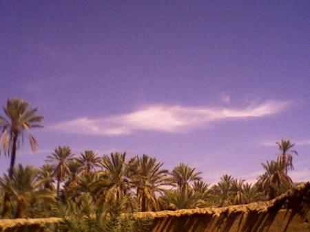 Taghjijt