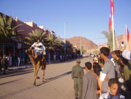 Almoggar 2008
