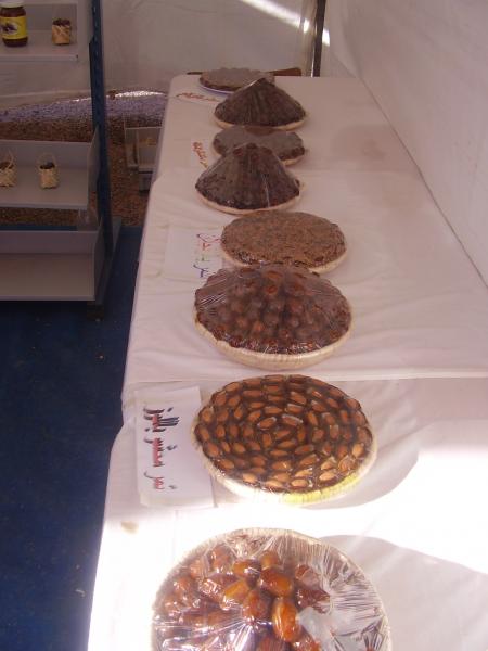 Almoggar 2008