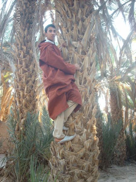 ayoub laabid
