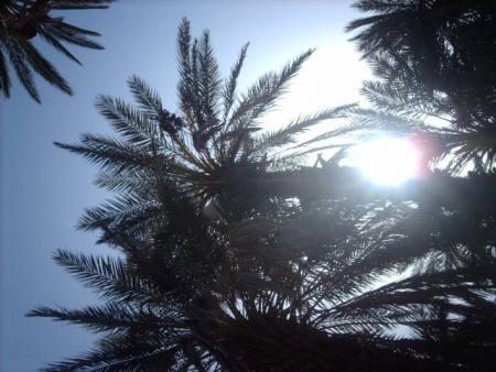 ourti ndbou3chra