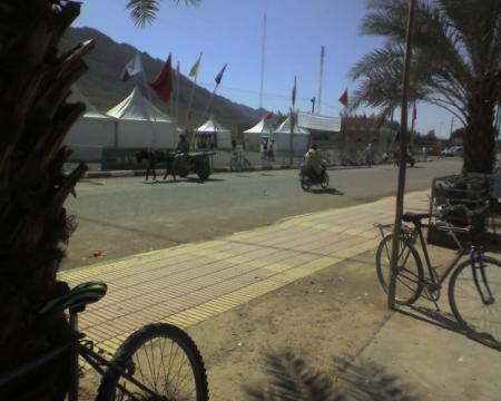 Almoggar 2008