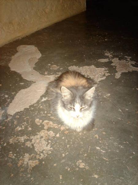 amouch